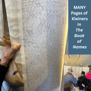 Many Kleiners in the Book of Names